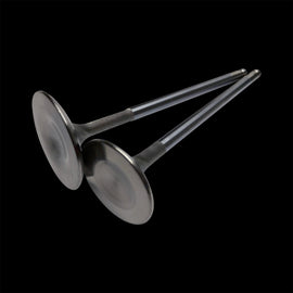 <b>BC3801N-2</b> - Polaris Pro-R (21-up) Inconel Exhaust Valves - 29.2mm (STD) - set/8