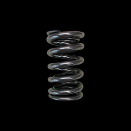 <b>BC1040T-1</b> - Valve Spring -  Dual (Honda/Acura K20A2/K20A/K24A2/F20C1/F22C1) - 1 only
